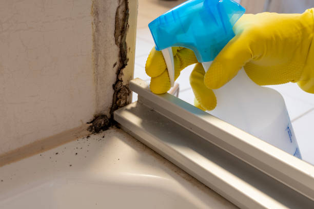 Best Emergency Mold Removal  in Hillsborough, NJ