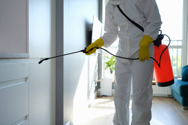 Best Emergency Mold Removal  in Hillsborough, NJ